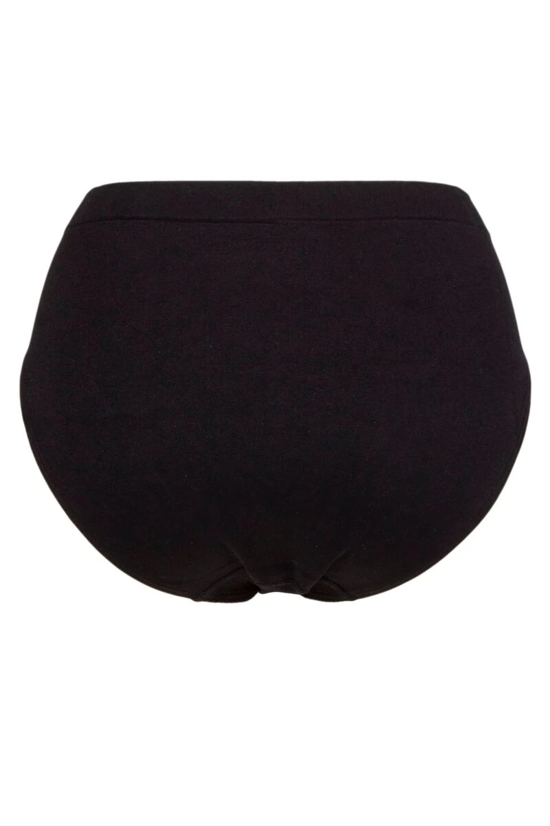 Ladies 1 Pack Ambra Curvesque Hi Cut Brief Underwear - Image 2