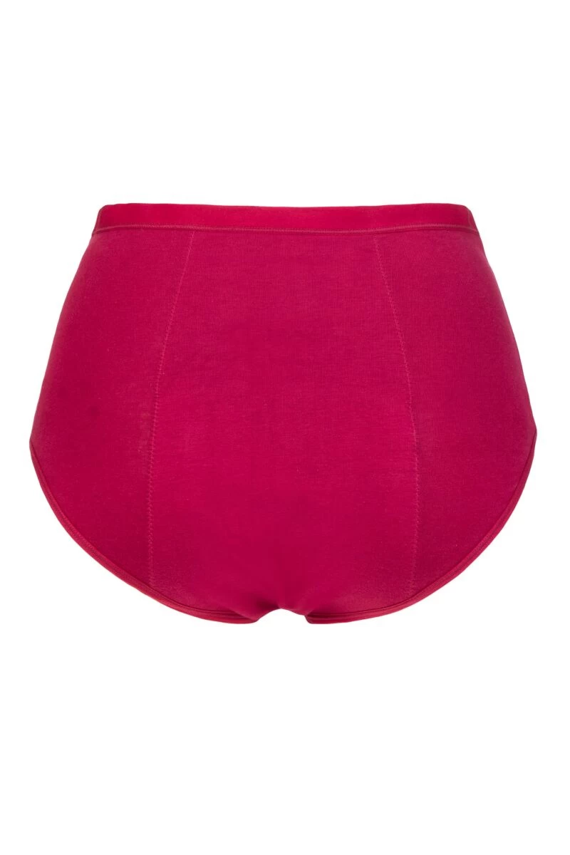 Ladies 1 Pair Love Luna Organic Cotton Period Full Briefs - Image 2